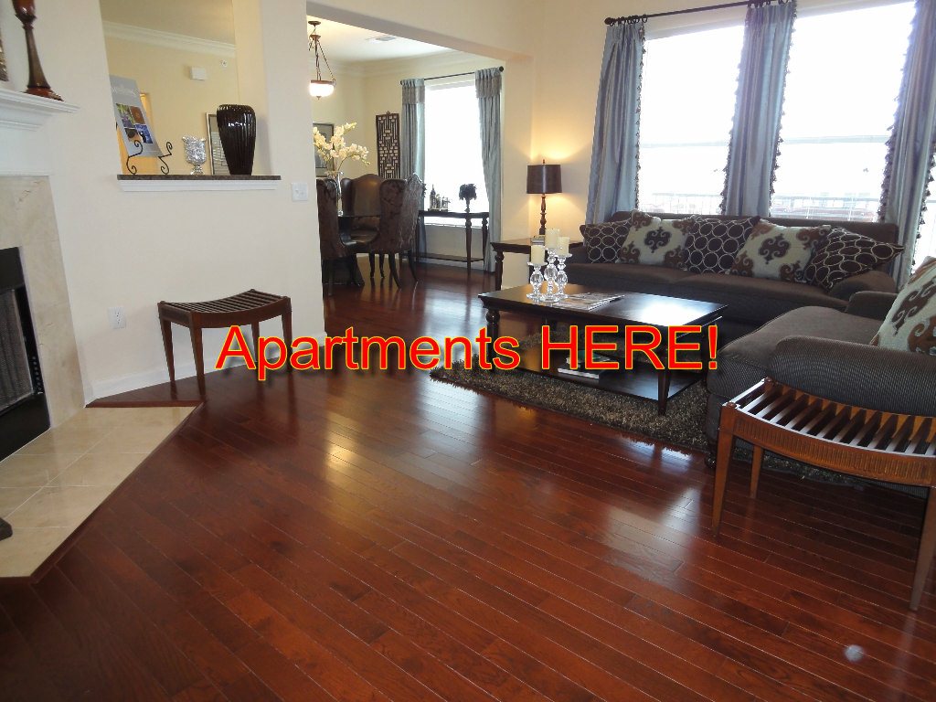 Austin Apartments BAD CREDIT OK!